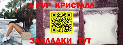 шишки Новодвинск