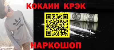 шишки Новодвинск