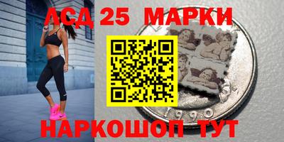 шишки Новодвинск