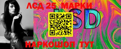 шишки Новодвинск