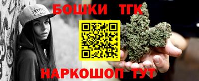 шишки Новодвинск