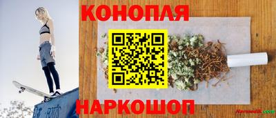 индика Новозыбков