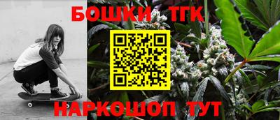 шишки Новодвинск