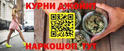 индика Новозыбков