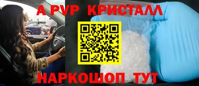 шишки Новодвинск