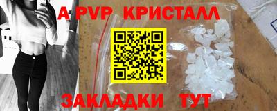 шишки Новодвинск