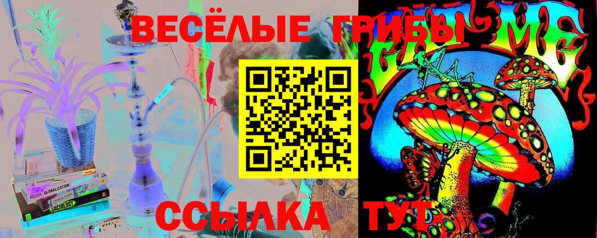 Псилоцибиновые грибы прущие грибы Ржев