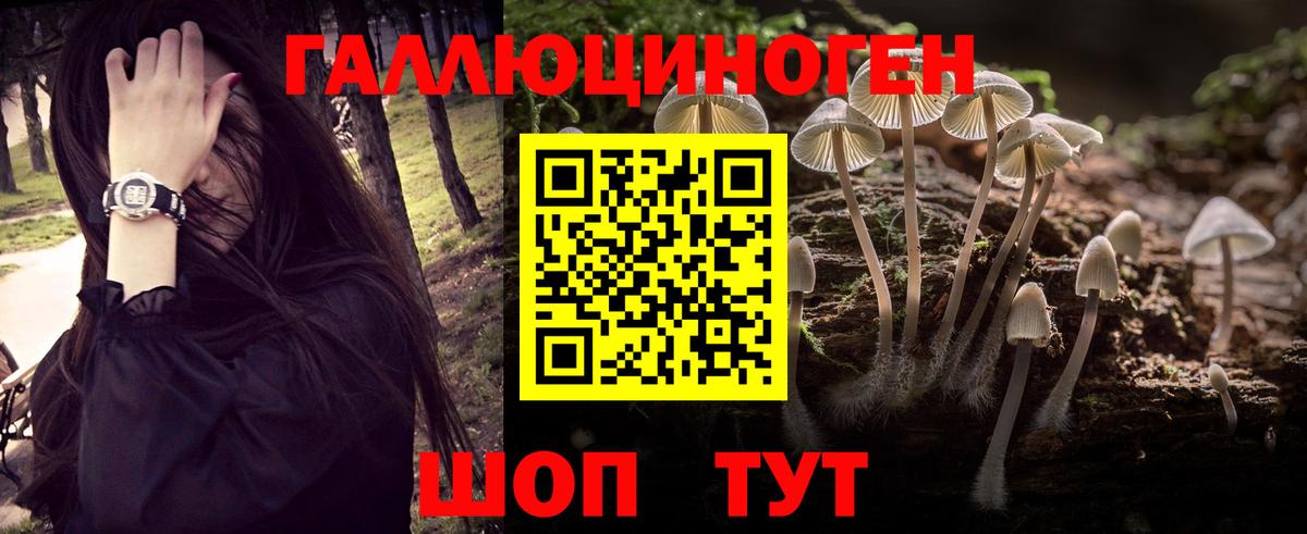 Псилоцибиновые грибы мухоморы  Вход с VPN  Галлюциногенные грибы GOLDEN TEACHER  Ржев 
