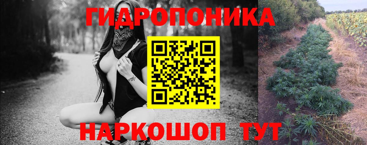 Бошки Шишки MAZAR  Марихуана AK-47  Конопля AK-47  Вход с VPN  Ржев 